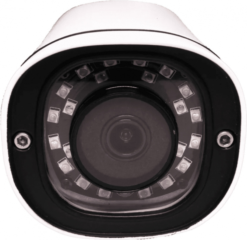 Видеокамера IP Trassir TR-D2141IR3 3.6-3.6мм цветная